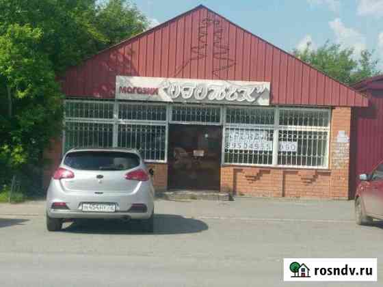 Магазин в центре Голышманово
