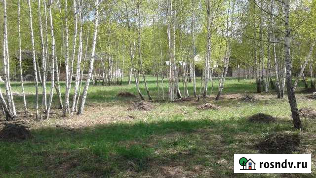 Участок СНТ, ДНП 12 сот. на продажу в ЛМС ЛМС - изображение 1