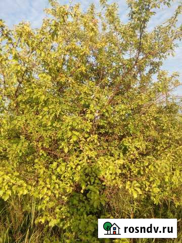 Участок СНТ, ДНП 10 сот. на продажу в Богандинском Богандинский - изображение 1