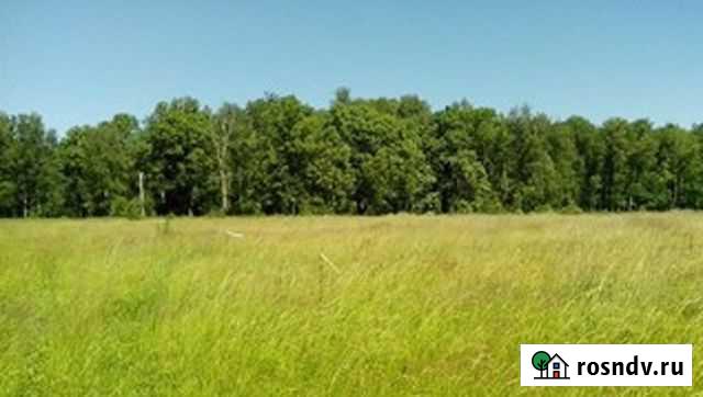 Участок СНТ, ДНП 170 сот. на продажу в Красюковской Красюковская - изображение 1