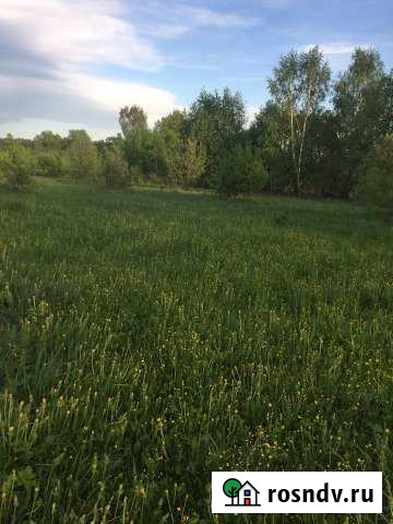 Участок ИЖС 25 сот. на продажу в Петушках Петушки - изображение 1