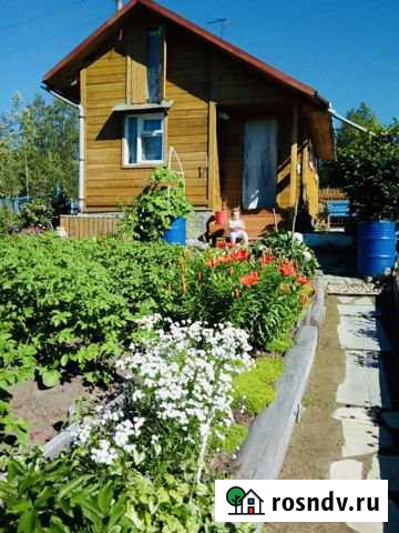 Дача 50 м² на участке 7 сот. на продажу в Мончегорске Мончегорск - изображение 1