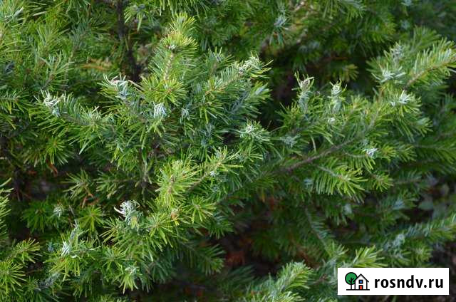 Участок ИЖС 12 сот. на продажу в Ермаковском Ермаковское - изображение 1