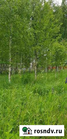 Участок СНТ, ДНП 12 сот. на продажу в Ярцево Ярцево - изображение 1