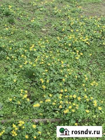 Участок промназначения 20 сот. на продажу в Буйнакске Буйнакск - изображение 1