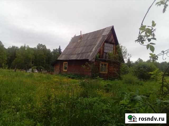 Дом 50 м² на участке 30 сот. на продажу в Шипуново Шипуново - изображение 1