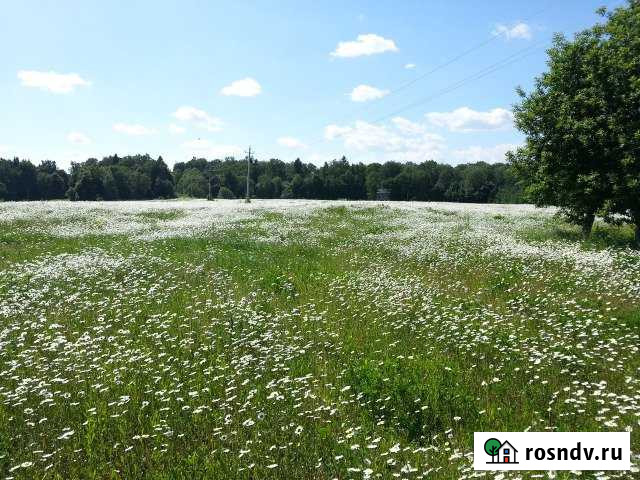 Участок СНТ, ДНП 10 сот. на продажу в Деденево Деденево - изображение 1