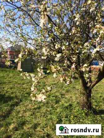 Участок СНТ, ДНП 4 сот. на продажу в Зеленоградске Зеленоградск