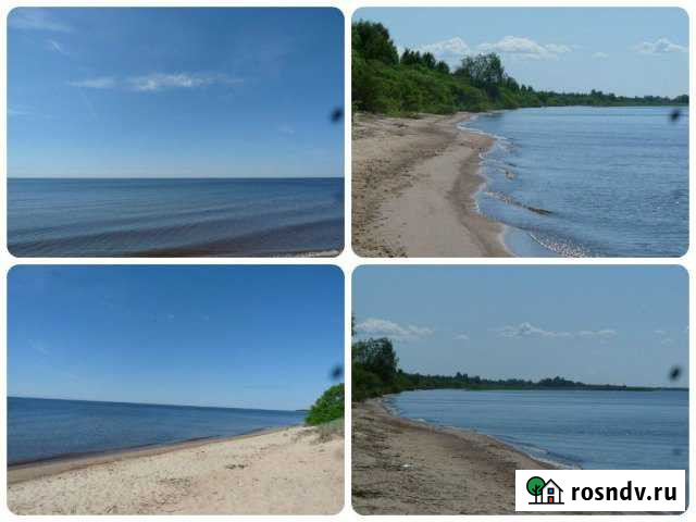 Участок СНТ, ДНП 15 сот. на продажу в Гдове Гдов - изображение 1