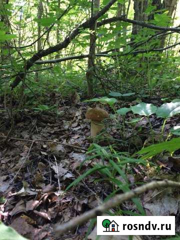 Дом 50 м² на участке 15 сот. на продажу в Одоеве Одоев - изображение 1