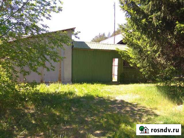 Дом 45 м² на участке 26 сот. на продажу в Монетном Монетный - изображение 1