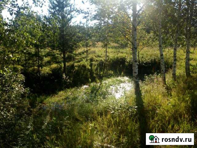 Участок ИЖС 10 сот. на продажу в Монетном Монетный - изображение 1