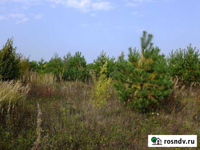 Участок СНТ, ДНП 183 сот. на продажу в Мариинском Посаде Мариинский Посад - изображение 1