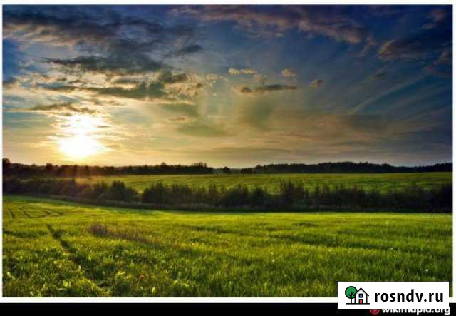 Участок СНТ, ДНП 124 сот. на продажу в Сосново Сосново - изображение 1