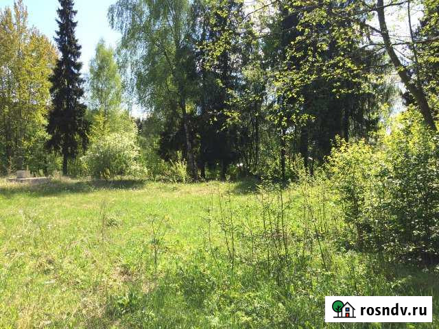 Участок ИЖС 60 сот. на продажу в Правдинском Правдинский - изображение 1