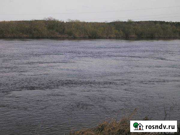 Участок СНТ, ДНП 460 сот. на продажу в Боровичах Боровичи - изображение 1