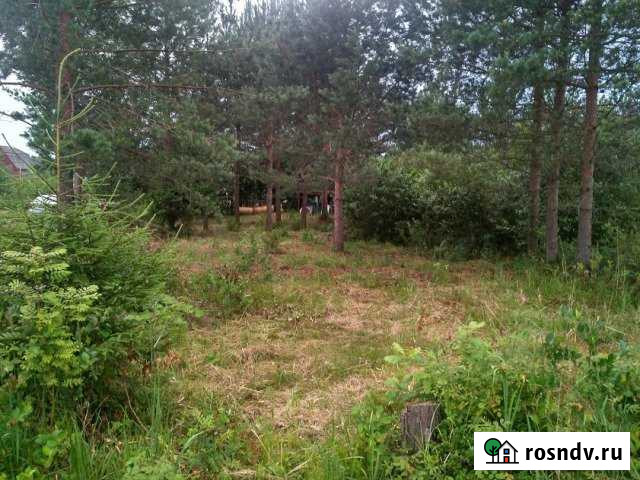 Участок СНТ, ДНП 6 сот. на продажу в Шлиссельбурге Шлиссельбург - изображение 1