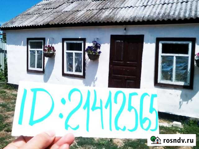 Дом 30 м² на участке 10 сот. в аренду посуточно в Голубицкой Голубицкая - изображение 1