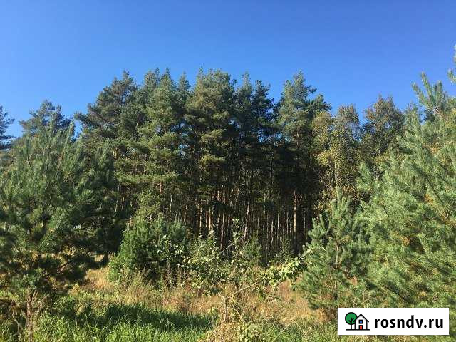 Дача 32 м² на участке 8 сот. на продажу в Павловском Посаде Павловский Посад - изображение 1