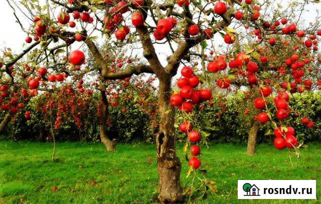 Участок ИЖС 20 сот. на продажу в Магарамкенте Магарамкент - изображение 1