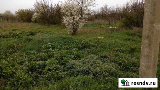 Участок СНТ, ДНП 12 сот. на продажу в Приморском Приморский - изображение 1