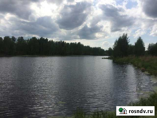 Участок ИЖС 6 сот. на продажу в Ильиногорске Ильиногорск - изображение 1