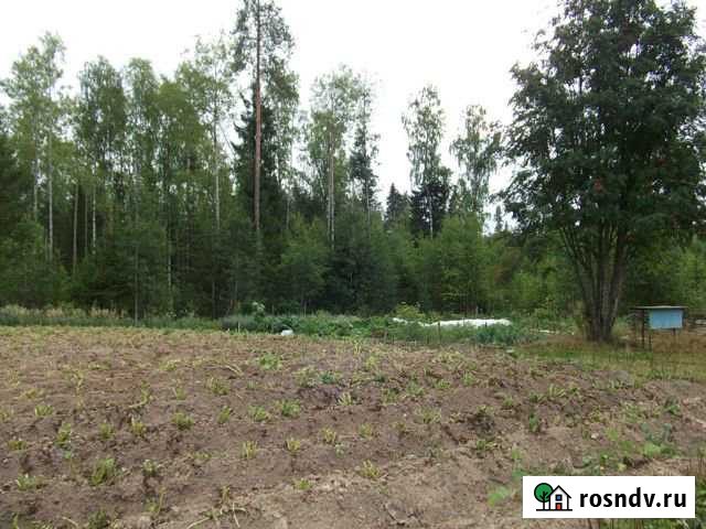 Участок ИЖС 10 сот. на продажу в Выльгорте Выльгорт - изображение 1