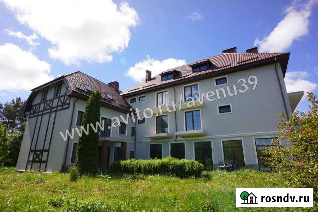 Свободного назначения 950 кв.м. Светлогорск - изображение 1