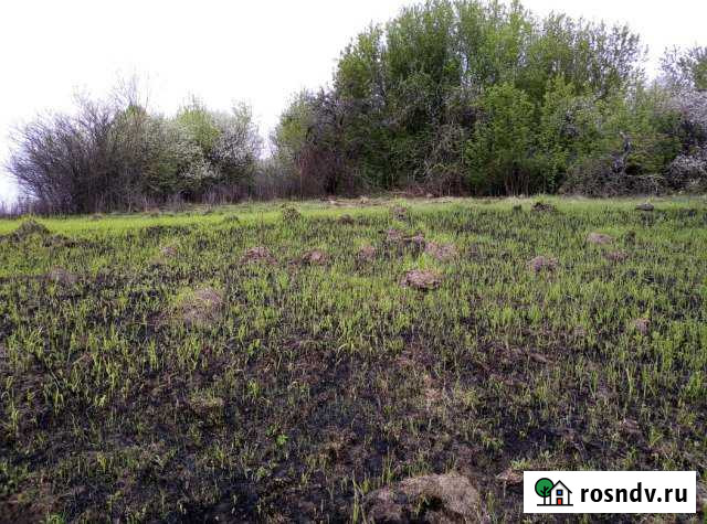 Участок ИЖС 24 сот. на продажу в Мглине Мглин - изображение 1