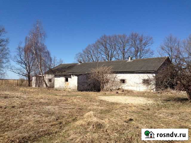 Продается ферма 268 кв.м., земля 1.2Га Гвардейск - изображение 1