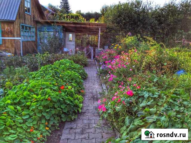 Дача 20 м² на участке 6 сот. на продажу в Южном Алтайского края Южный - изображение 1