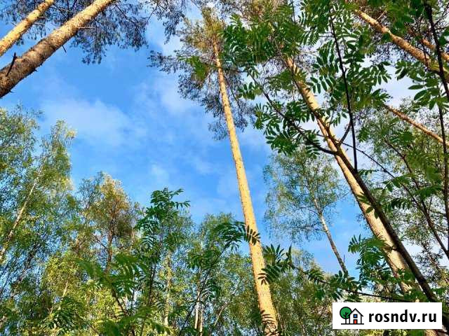 Дача 20 м² на участке 7.5 сот. на продажу в Волхове Волхов - изображение 1