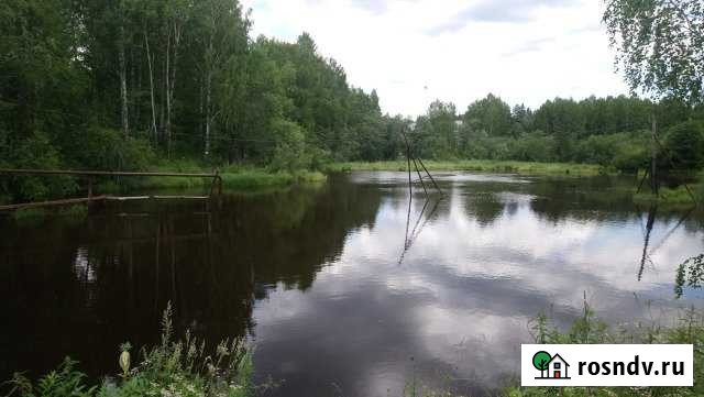 Дача 20.2 м² на участке 5.1 сот. на продажу в Николо-Павловском Николо-Павловское - изображение 1