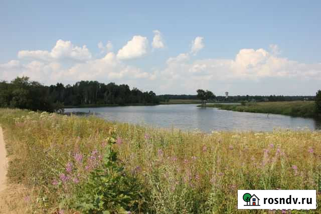 Участок ИЖС 42 сот. на продажу в Новопетровском Новопетровское - изображение 1