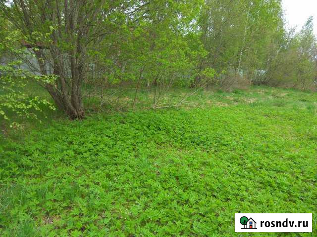 Участок ИЖС 15 сот. на продажу в Сосново Сосново - изображение 1