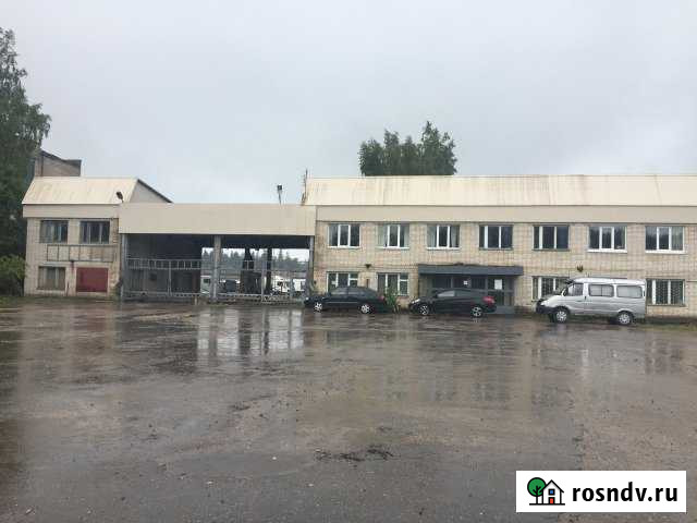 Участок промназначения 1080 сот. на продажу в Волосово Волосово - изображение 1