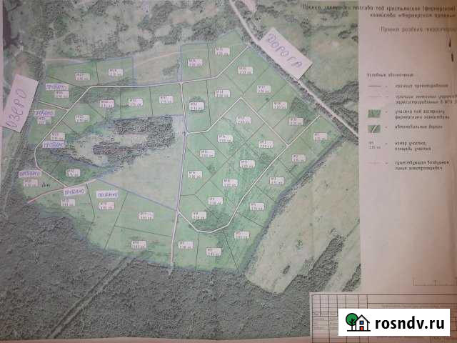 Участок СНТ, ДНП 210 сот. на продажу в Плюссе Плюсса - изображение 1