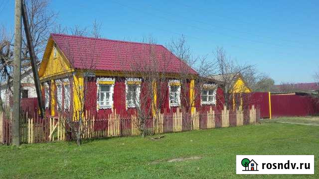 Дом 74.3 м² на участке 7.3 сот. на продажу в Белинском Белинский - изображение 1