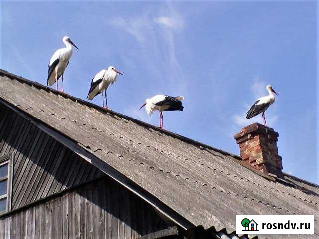 Дом 86.6 м² на участке 33 сот. на продажу в Жарковском Жарковский - изображение 1