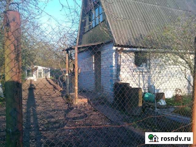 Дача 100 м² на участке 10 сот. на продажу в Черняховске Черняховск - изображение 1