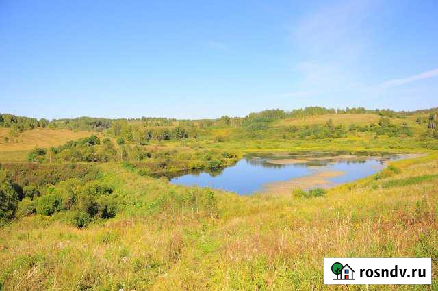 Участок СНТ, ДНП 2700 сот. на продажу в Ельцовке Ельцовка - изображение 1