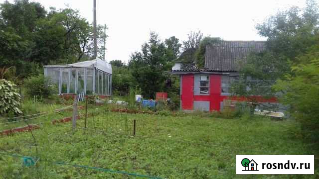 Дача 20 м² на участке 550 сот. на продажу в Вольно-Надеждинском Вольно-Надеждинское - изображение 1