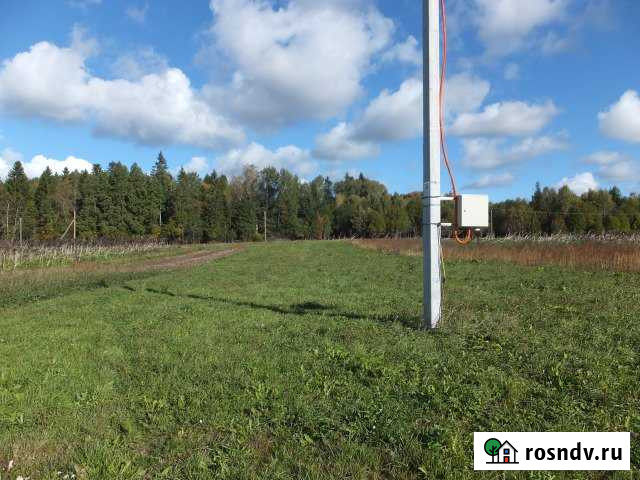 Участок ИЖС 30 сот. на продажу в Волосово Волосово - изображение 1