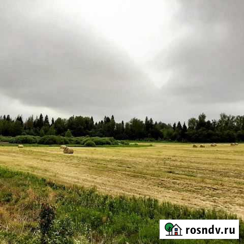 Участок СНТ, ДНП 12 сот. на продажу в Глебовском Глебовский - изображение 1