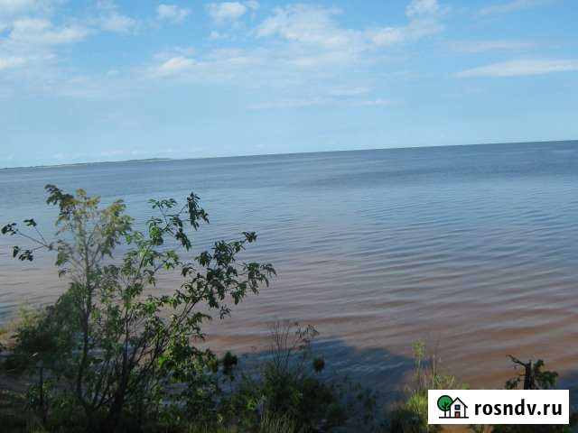 Участок СНТ, ДНП 21 сот. на продажу в Гдове Гдов - изображение 1