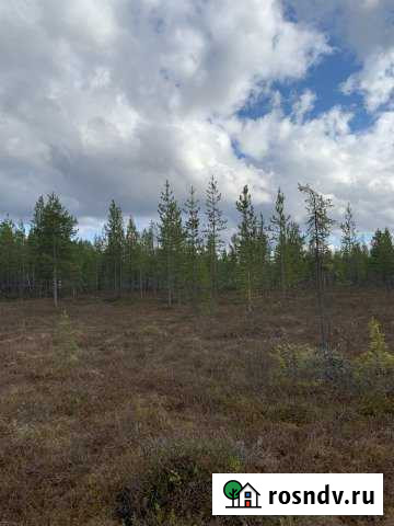 Участок СНТ, ДНП 11 сот. на продажу в Молочном Мурманской области Молочный - изображение 1