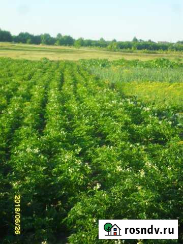 Дом 44 м² на участке 20 сот. на продажу в Красной Яруге Красная Яруга - изображение 1