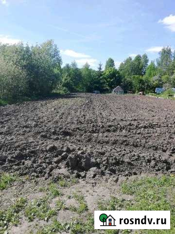 Участок СНТ, ДНП 6 сот. на продажу в Лесном Московской области Лесной - изображение 1