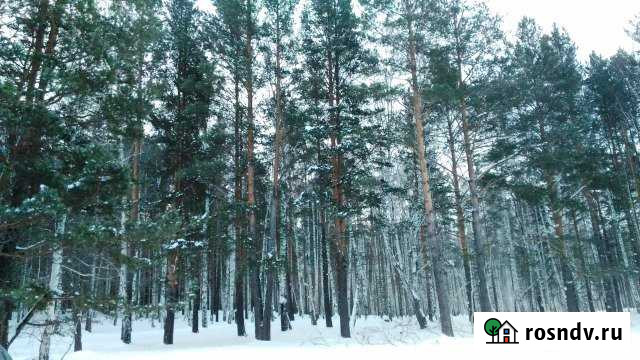 Участок ИЖС 20 сот. на продажу в Верхнем Уфалее Верхний Уфалей - изображение 1