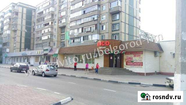 Помещение свободного назначения, 130 кв.м. Белгород - изображение 1